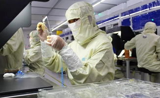 中國大步邁向手機面板強國 晶科微電子的引領之路